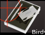 Birdy