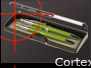 Cortex