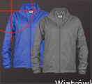 Wiatrwki
