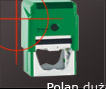 Polan dua