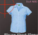 Blouse Short Sleeve